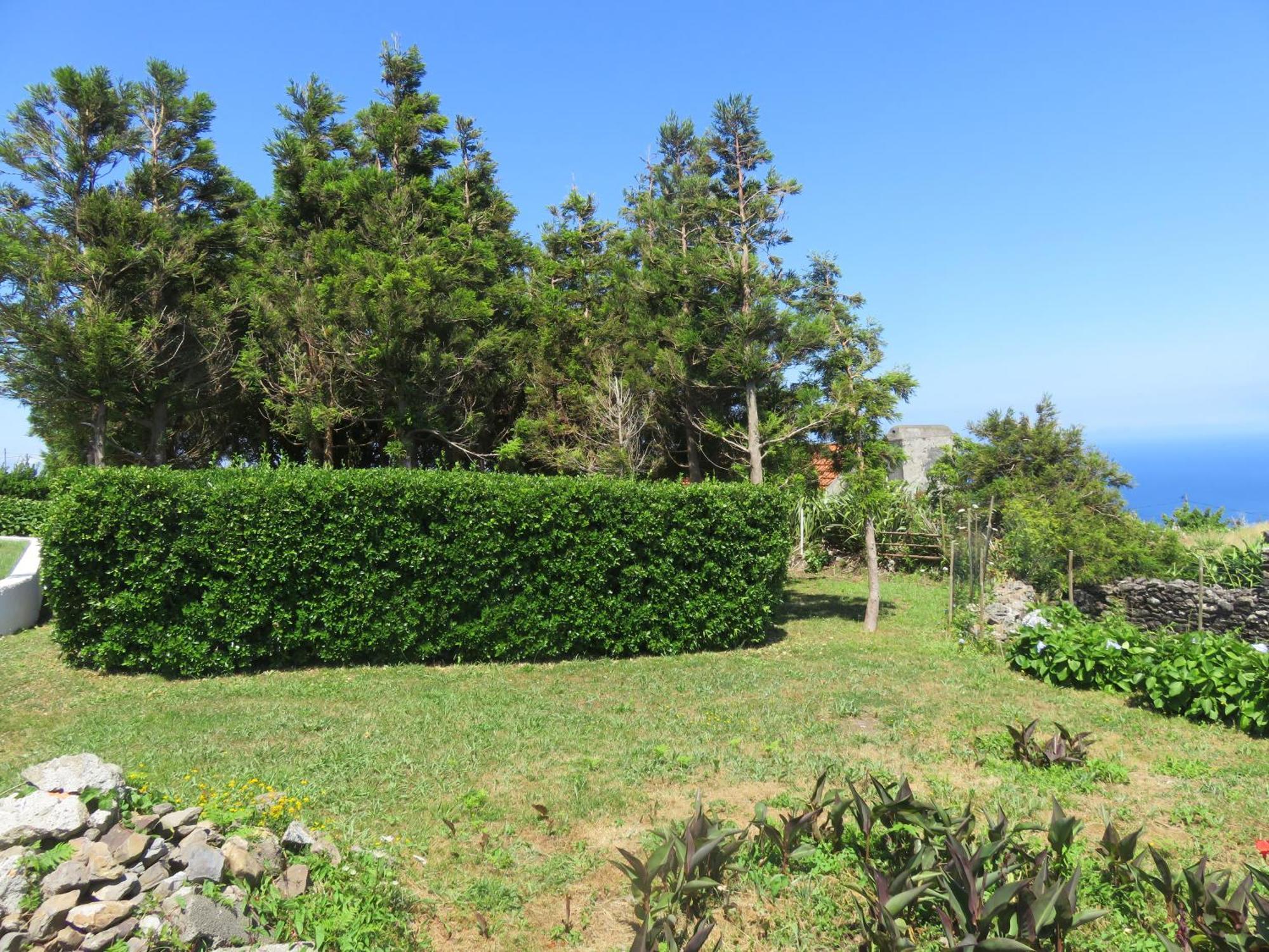 Villa Cedros Santa Cruz das Flores Eksteriør billede